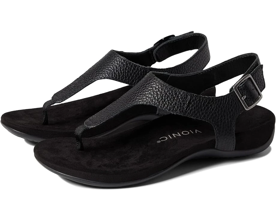 VIONIC Terra 1 VIONIC Terra